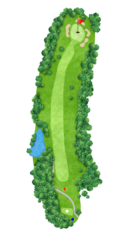 IN HOLE 10 コースマップ