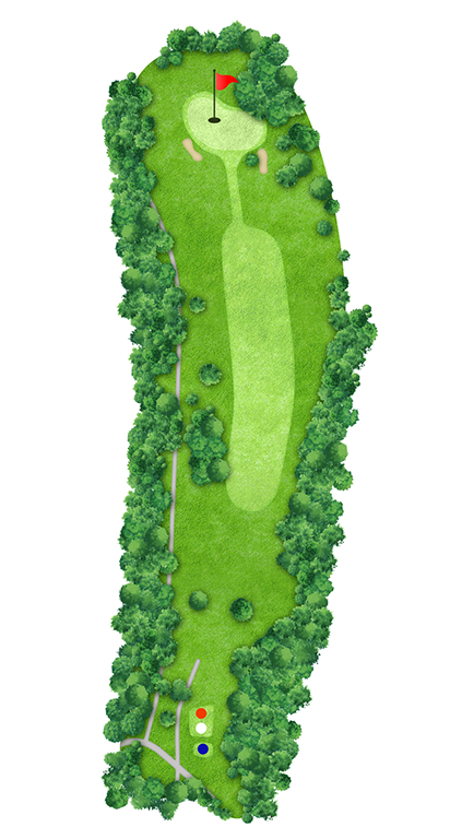 IN HOLE 11 コースマップ