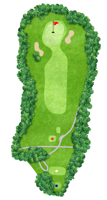 IN HOLE 12 コースマップ