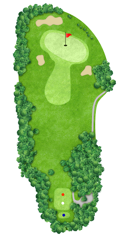 IN HOLE 15 コースマップ
