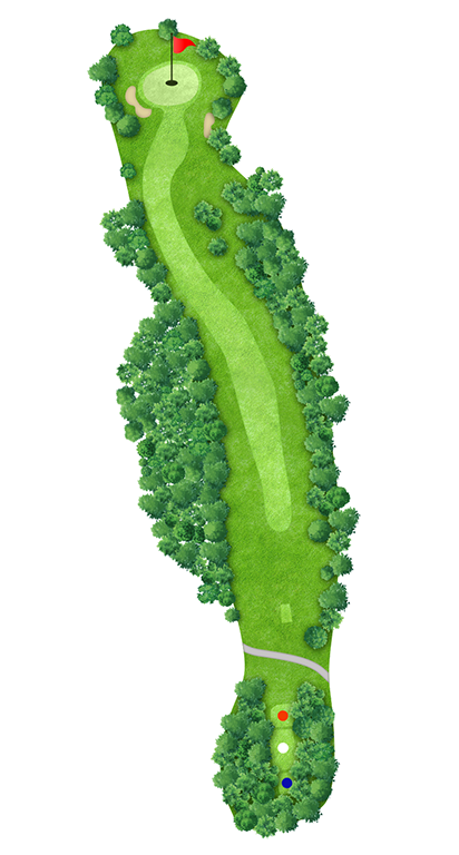IN HOLE 18 コースマップ