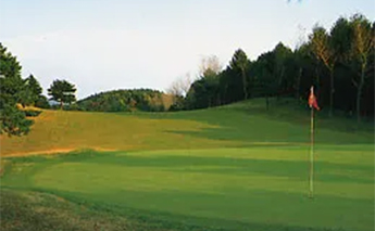 OUT HOLE 4 ワンポイント