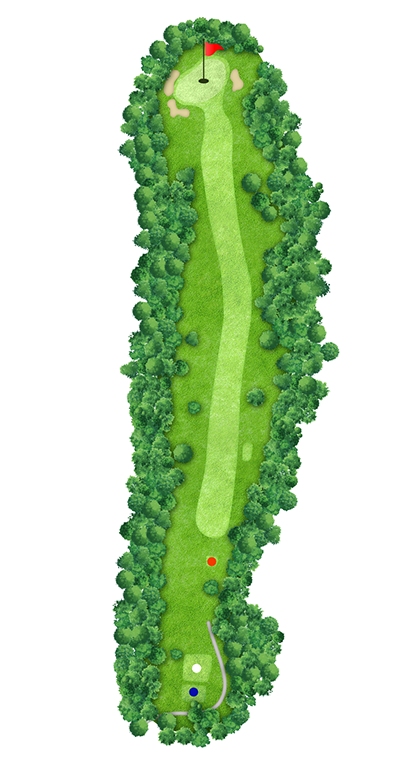 OUT HOLE 7 コースマップ